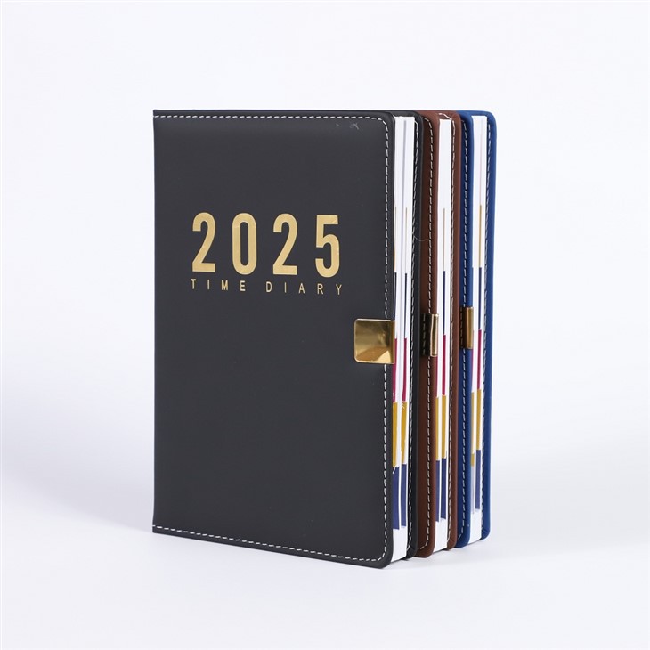 Daily Planner 2025