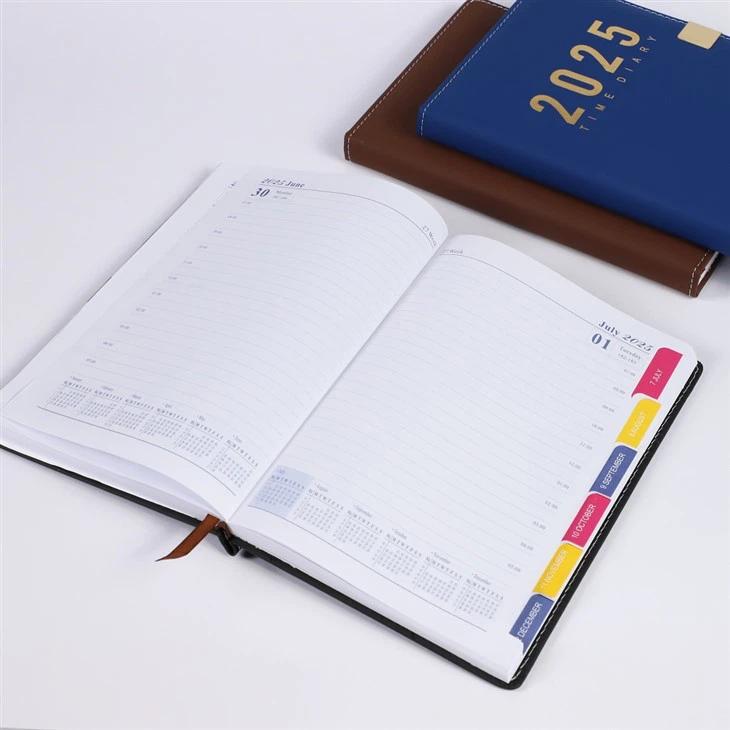 Daily Planner 2025